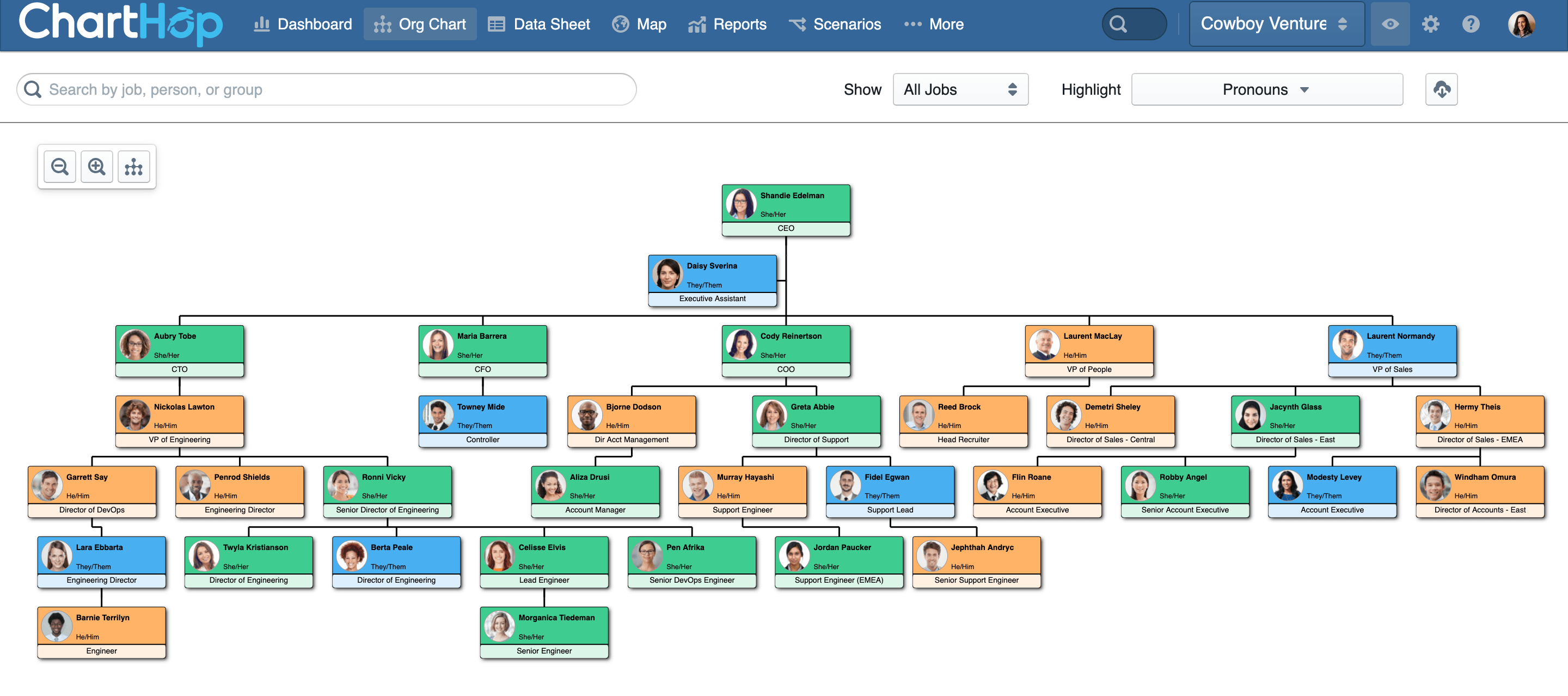 Org chart by pronouns